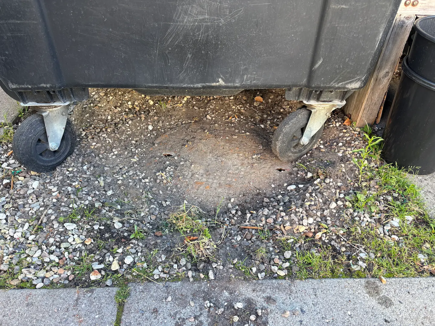Kloakrens hos blomsterforretning i Ganløse